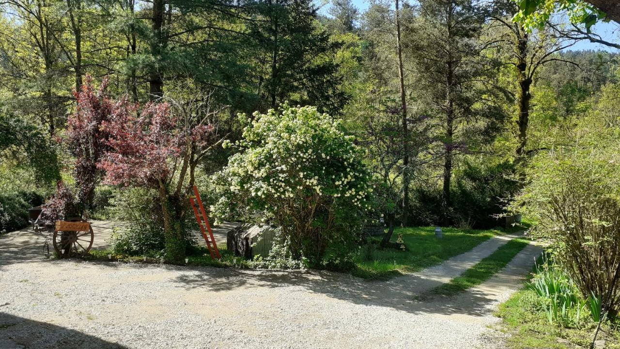 Bed and Breakfast Au Fil De L Ance Beauzac Esterno foto